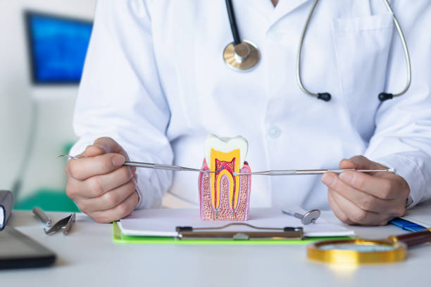 Best Weekend Emergency Dentist in Mclendon Chisholm, TX